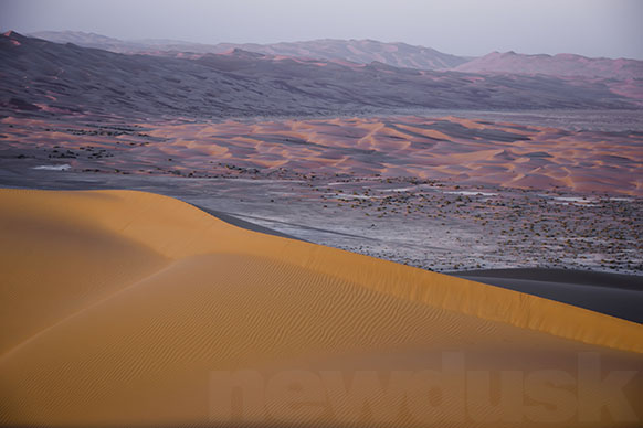 dune